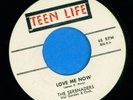 SERENADERS -- RARE 1958 Detroit doo wop 45 on TEEN LIFE