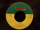 Rafael Labasta - SALSA PANAMA VERY RARE TABOGA ???