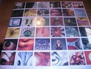 PEARL JAM no code LP SEALED EPIC rare eddie vedder