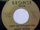 DUSTY WILSON CAN'T DO WITHOUT YOU BRONSE 1800 NORTHERN
