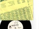 RARE  SUICIDE SQUAD I hate school 1979  45 7