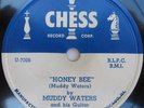 MUDDY WATERS 78  