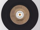 RARE Garage 45 SHANDELLS Mary Mary SIZZLE BFTG HEAR