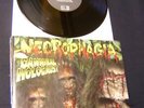 METAL-RARITÄTEN: NECROPHAGIA:CANNIBAL HOLOCAUST 10
