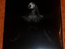 = TAAKE - Taake 2LP
