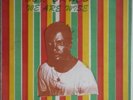 DON BRUCE /RARE AFRO NIGERIA REGGAE DUB VG+/VG++ LISTEN