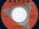 Rare Garage 45 Continentals I'm Gone Gaylo Records