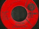 The People's Choice Destruction RARE Funk 45 Wood City