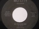 DANI RAYE MY PRECIOUS ONE DETROIT SOUL listen