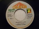 RARE/GADFREY LEWIS/PROMISED LAND ON TUFF ROOTS REGGAE7