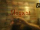 Mogwai 