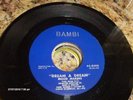DOO WOP 45 MOOD MAKERS BAMBI 8000 HEAR
