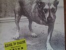 Alice In Chains s/t 2xLP 1995 NM rare sub pop nirvana