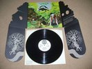 Dr Strangely Strange Heavy Petting LP UK Orig folk 1970