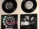 Blink 182 Feeling This 7