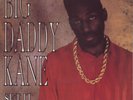 BIG DADDY KANE 