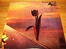 PRETTY THINGS original vinyl LP 'Parachute'.