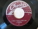 FLAMINGOS A KISS FROM YOUR LIPS   VG++ 1956  45 DOO WOP