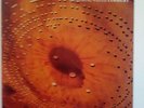 Catherine Wheel - Ferment Vinyl LP