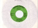 rare funk ERNEST SKIPPER 45 Shotgun Joe ROSEMONT hear