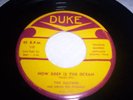 THE SULTANS-DUKE RECORDS-DOO-WOP 45