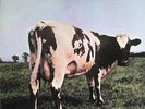 Pink Floyd: Atom Heart Mother MFSL 1-202