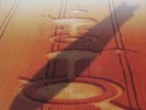 Led Zeppelin: 6 LP box set