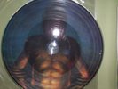 Tool: Aenima / Cesaro Summability RARE vinyl