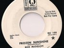 RICK McCLELLAN POP PSYCH FROZEN SUNSHINE 7
