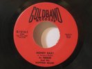 Al Ferrier - Honey Baby GOLDBAND 45