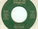 BUZZSAW:Live In The Springtime-I Can Make You Happy-7