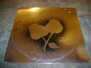Silver Apples LP Radio Station Copy Promo KAPP KS-3562