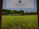 TAS COPLAND APPALACHIAN SPRING Canada CBC lp digital 80