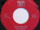 RAY & HIS COURT Soul Freedom LATIN FUNK/BREAKS 45 mp3