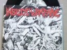 INSECT WARFARE AT WAR WITH GRINDCORE 625 EARACHE PLF