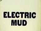 MUDDY WATERS - ELECTRIC MUD - MINT
