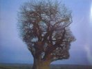 Rare Pink Floyd vinyl lp Brave New World