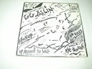 #34 GG ALLIN No Rules 4 Song EP Picture Sleeve + 45