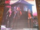 FREEDOM - THROUGH THE YEARS - VERTIGO UK 71 SWIRLY MINT