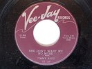 RARE BLUES 45 VEE JAY LAB#153 