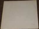 The Beatles : White album Mono 1st press Stunning