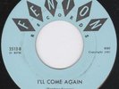 Michigan Garage 45-Legends-I'll Come Again-Fenton-Hear