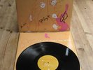CLAP YOUR HANDS SAY YEAH s/t LP EX+ FULLY SIGNED