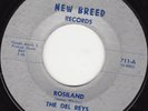 NORTHERNS SOUL 45 RPM - THE DEL REYS on NEW BREED