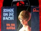 Single Anita Lindblom Schade um die Nacht