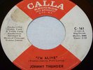 JOHNNY THUNDER I'm Alive Psych Soul Garage Fuzz 45/7