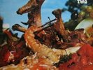 TOE FAT 'Two' vinyl LP, classic 1971 Prog-Rock reissue