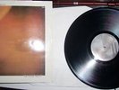 Maurizio Bianchi - The Plain Truth LP vinyl industrial