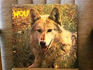 DARRYL WAYS WOLF - CANIS LUPIS UNPLAYED ORGINAL IMPORT
