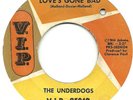 THE UNDERDOGS - Love's Gone Bad - 1966